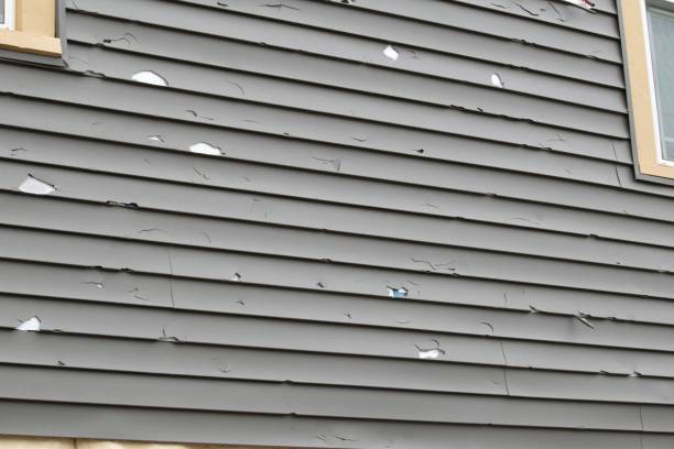 Best Composite Siding  in Robertsde, AL